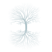 Roots Of Wellness Ayurveda