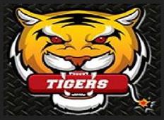 Tigers Fireworks