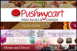 Pushmycart Online Shopping Suwanee, GA