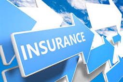 Sashi Kumar Insurance Agent