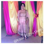 Rani Collections