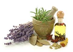 Homeopathy Wellness