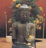 Ayurveda Ms Phillips