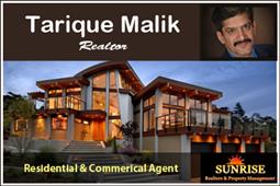 Tarique Malik Realtor