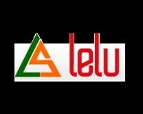 Lelu Web Designing
