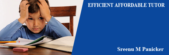 Efficient Affordable Tutor in Jersey City, NJ